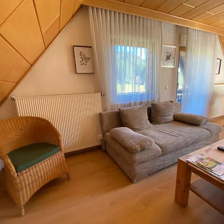 Gaestehaus Brigitte Schoch Appartement Bad Rippoldsau-Schapbach