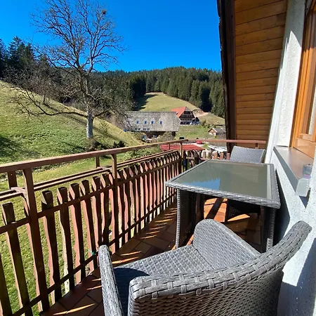 Gaestehaus Brigitte Schoch Appartement *