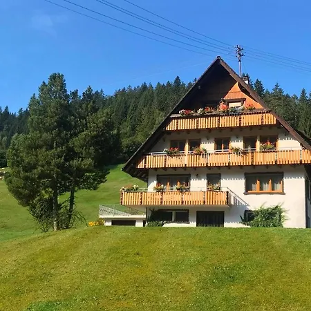 Gaestehaus Brigitte Schoch Appartement Bad Rippoldsau-Schapbach