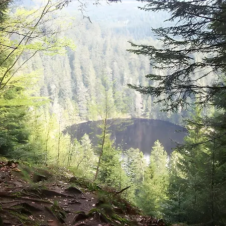 Appartement Gaestehaus Brigitte Schoch