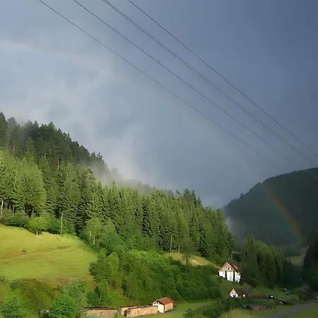 Appartement Gaestehaus Brigitte Schoch *