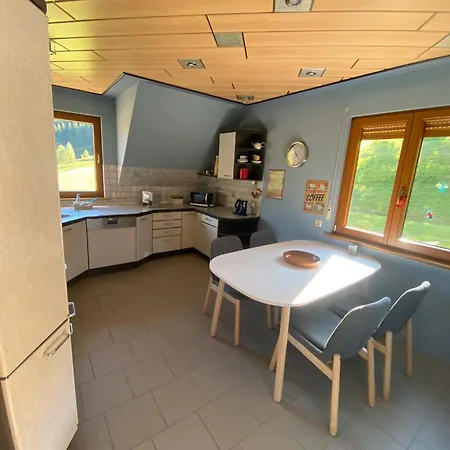 Gaestehaus Brigitte Schoch Appartement Bad Rippoldsau-Schapbach