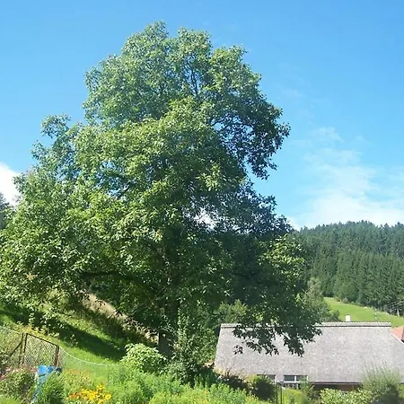 Apartment Gaestehaus Brigitte Schoch