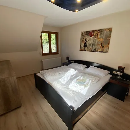 Apartment Gaestehaus Brigitte Schoch Bad Rippoldsau-Schapbach