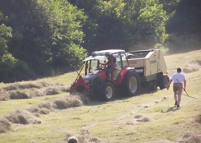 Gaestehaus Brigitte Schoch Apartmán *